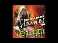 Don't Stop It - Burning Flames
