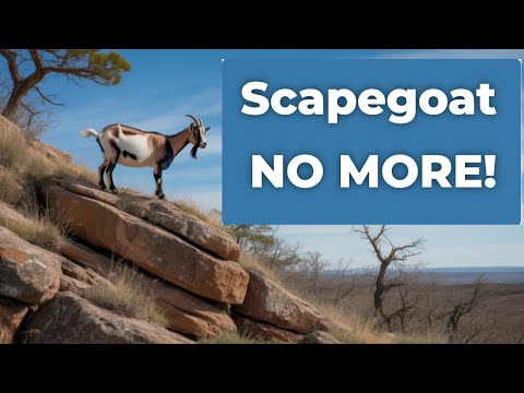 Signs You're ACTUALLY Healing From Narcissistic Abuse