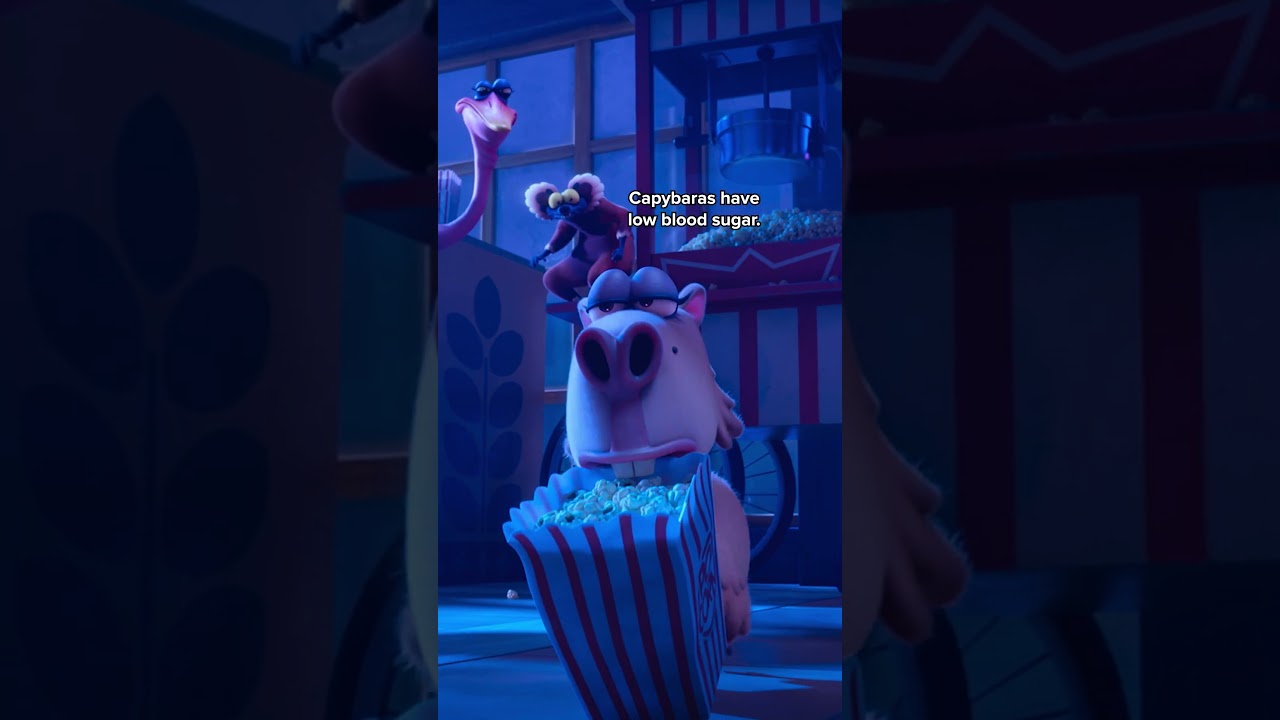 Capybara Meme