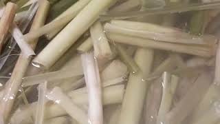 Download lagu Membuat Minyak Aromatheraphy Sereh Wangi dari Halaman Apotik Hidup La KK's Garden. What a smell good mp3