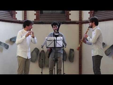 Eugène Walckiers  Deuxième trio pour la flûte, clarinette et basson  Op 12 1er movement