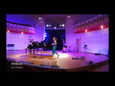 Charlotte playing the Sylphyo for her term project at Conservatoire de Lille