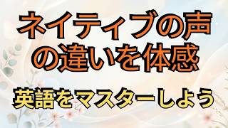難しいルールなしで学ぶ英語学習レッスン