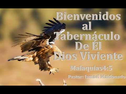 La Puerta A La Eternidad # 42