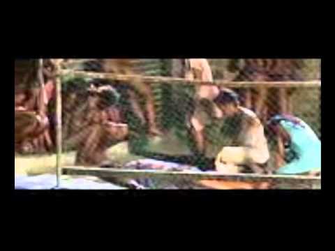 Hotel Rwanda Trailer