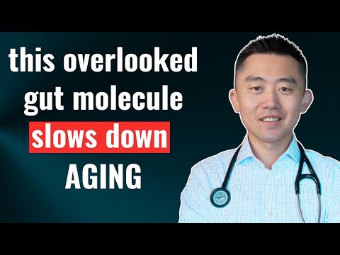 Butyrate Explained by Dr. Leonid Kim MD | Fix Leaky Gut, Protect Brain & Lower Blood Sugar
