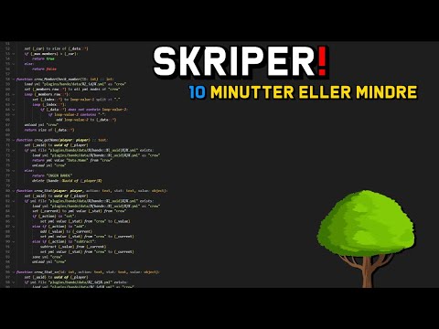 Jeg kan lære dig at Skripte i Minecraft på 12 minutter eller mindre!