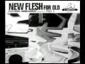 New Flesh for old - Thetawaves 1999