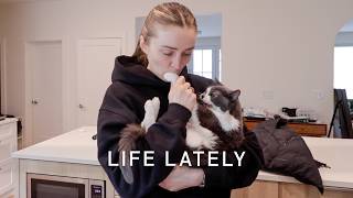 life updates 📦 weekly vlog