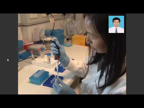 DNA methylation bisulphite modification and analysis