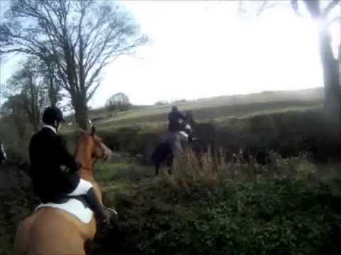 South County Dublin Hunt