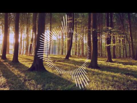 Spinus - Bounce Addict