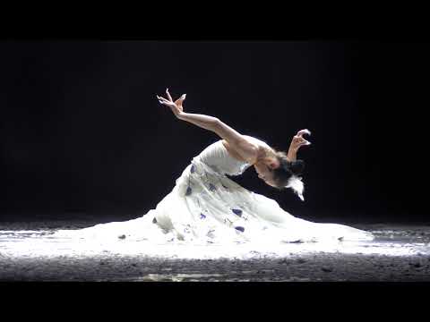 Peacock Dance at Shangrila-Dynamic Yunnan Show 《云南映象》孔雀舞
