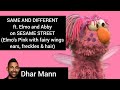Some Are The Same And Different Ft Abby And Elmo G Dhar Mann