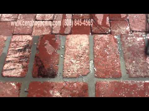 Portol Pro on Bricks