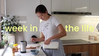 pov: 22 y/o marketing intern in singapore ✿ office days and final internship presentation vlog