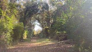 Download lagu The Angelus mp3 Download lagu The Angelus mp3