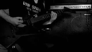 DECAPITATED - Instinct Cover - Just my Favorite part !