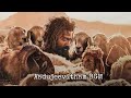 Aadujeevitham BGM Mr BGM