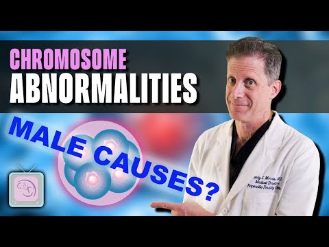 Abnormal embryos after PGT: When are men to blame?