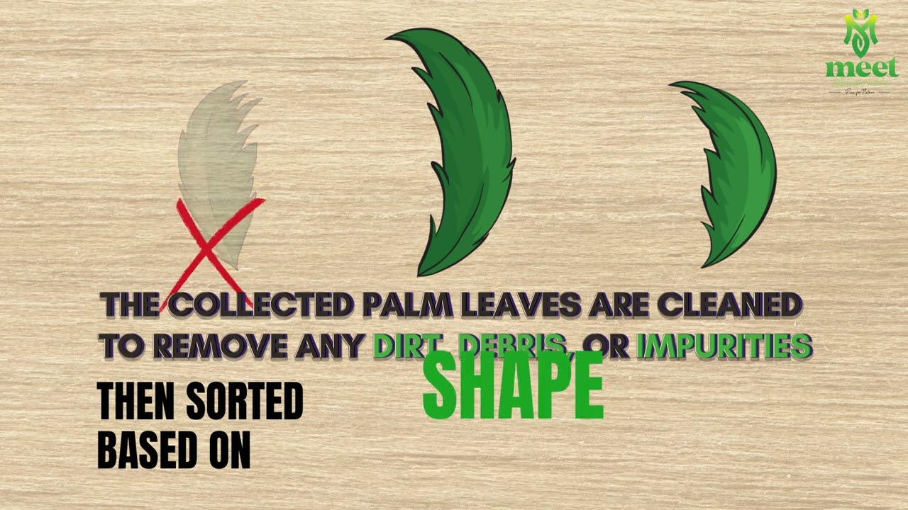 Production process Moulya Dinnerware Palm Leaf Plates and Bowls 06 05 2024