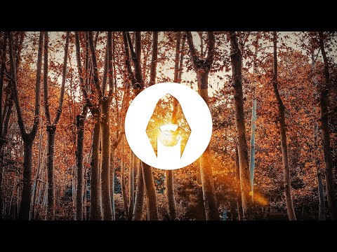 Melodic Techno Mix 2020 Solomun, Ben Böhmer, Yotto, Boris Brejcha, Lane 8, Ben C & Kalsx | Vol 40 |