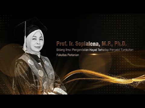 Thumbnail YouTube Prof. Ir. Sopialena, M.P., Ph.D.