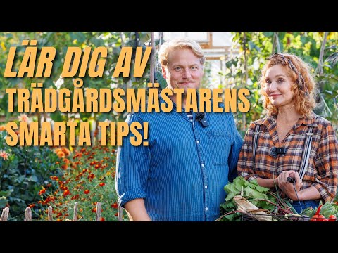 När Trädgårdsmästare Linda Schilén inreder sitt Tunnelväxthus – Smarta Lösningar och Odlingstips!