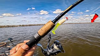 The Spring Transition - Biggest One Of These In Many Years (Perch & Striper Jigging)