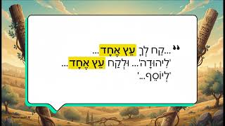 יוסף ויהודה  שני נתיבים