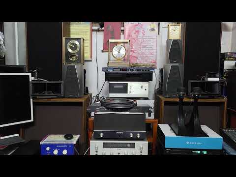 Vượt nửa vòng trái đất - Trường Vũ