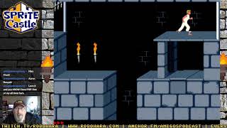 Sprite Castle Plays Prince of Persia (MS-DOS)