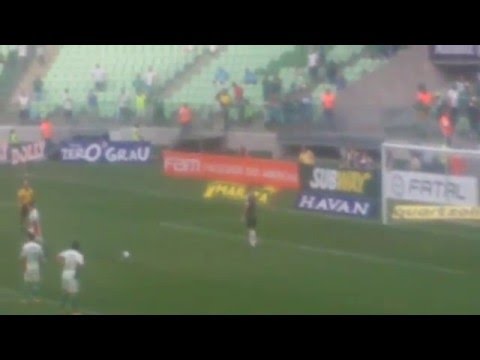 Palmeiras 4 x 1 Capivariano - Gol de Cristaldo filmado da arquibancada (HD)