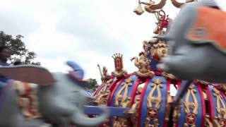 Second Dumbo Takes Flight at the Magic Kingdom