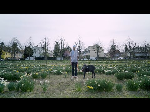 Thrill of Youth - Trailer