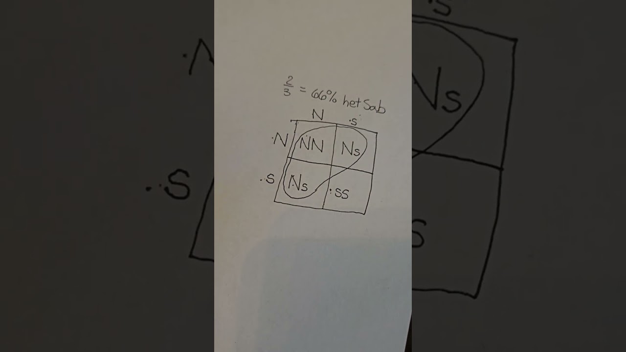 Genetics 101 with Hogalicious