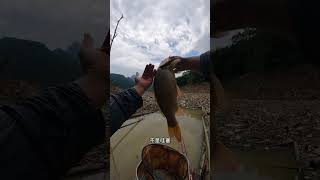 Download lagu INSANE Fishing Adventure! Catching a MONSTER Fish! #Fishing #MonsterFish #Angler #FishOn  mp3