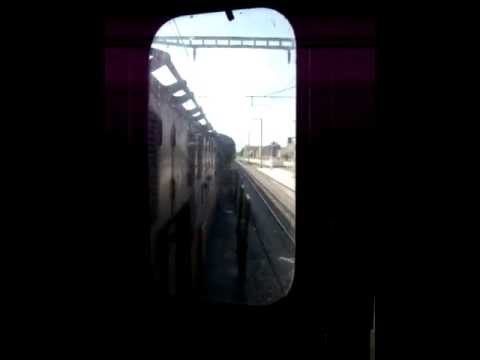 Tunis Alco Action - 2