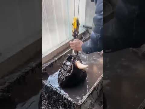 How Butcher clean cow #fraxychef #meat #butcher #steak