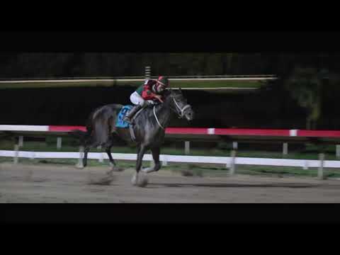 Hipódromo Camarero en Vivo!