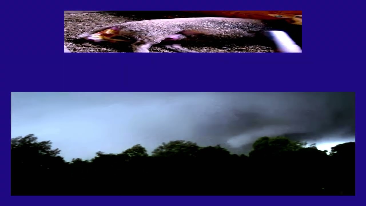 Penetrator - YHWH Nailgun 和訳 by radictionary