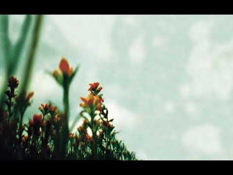 Nine Inch Nails - La Mer / Into the Void / Slipping Away