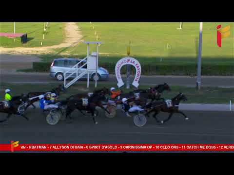 VII corsa del 14 ottobre 2023 - 5 Anni ed oltre Cat. G. - Metri 1600 - Allievi