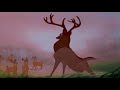 Bambi Man HD
