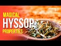 Magical Properties of Hyssop