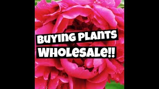 How to buy wholesale plants // Starting your nursery!
