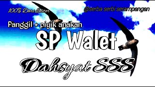 Download lagu The sound of a swallow is terrible SSS is calling the sound of a swallow's child is squeaking mp3 Download lagu The sound of a swallow is terrible SSS is calling the sound of a swallow's child is squeaking mp3