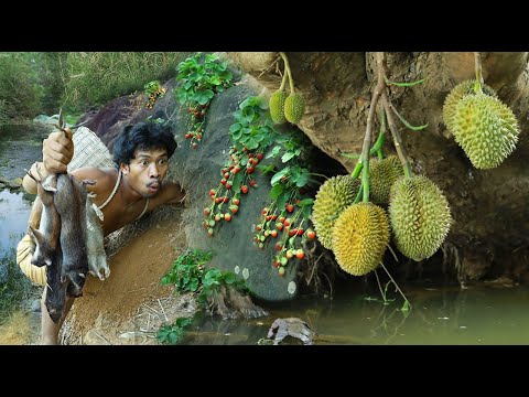 survival in the rainforest - mouse & durian fruit