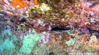 Diving St Mary's point Marsalforn, HERO2/3 trianing course