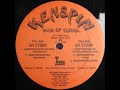 Kenspin Da Stork Rockapartymix